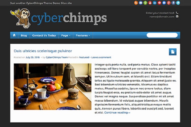 Cyberchimps Review - iFeature Pro 5.5