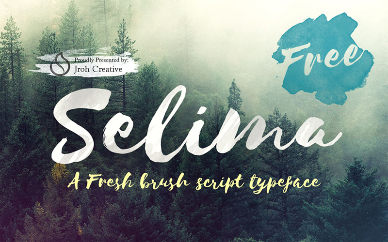 Top 10 Incredible Freebies For Web Designers and Developers - Selima